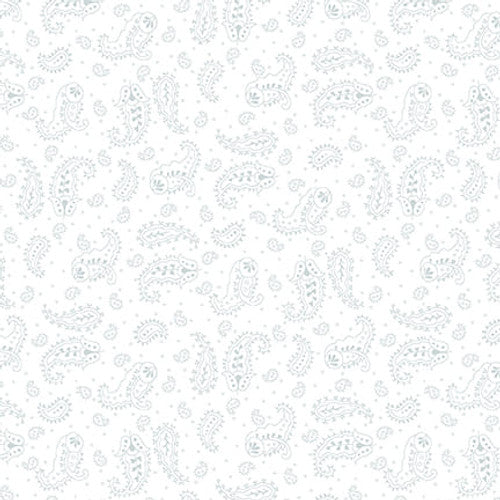 DELICATE PAISLEY QUILTERS FLOUR V