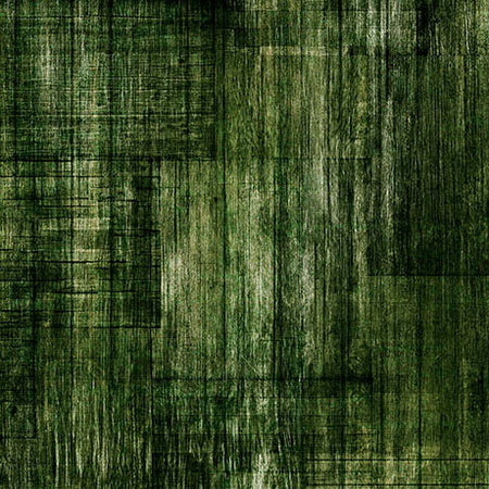 INTO THE WOODS - FOREST