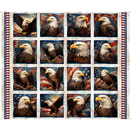 EAGLE PICTURE PATCHES