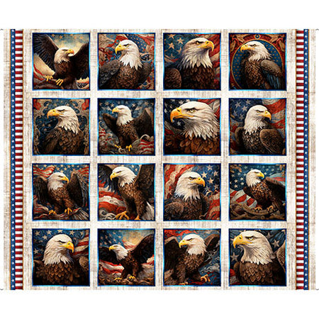 EAGLE PICTURE PATCHES