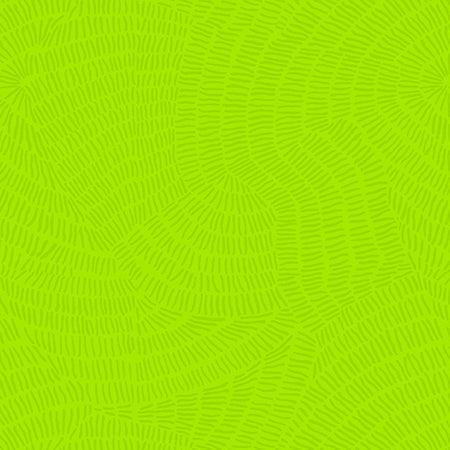 STITCHED LIME