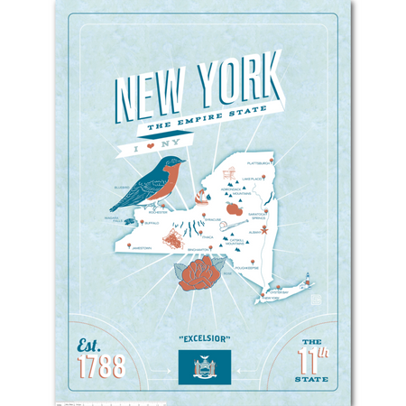 ANYSH 2026 PANEL CORNFLOWER