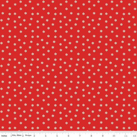 DAISIES RED SUMMER'S IN TOWN