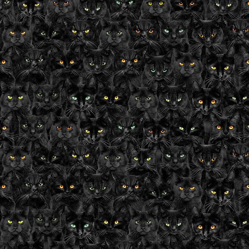 WICKED BLACK CATS MAGIC