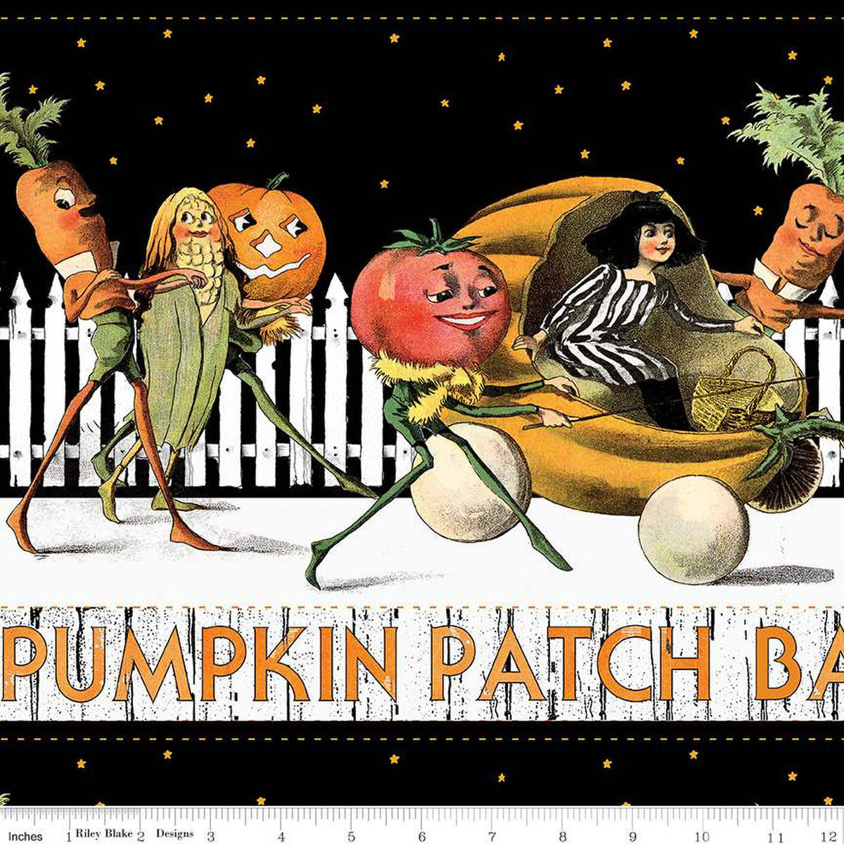 BARN DANCE BORDER STRIPE PUMPKIN PATCH