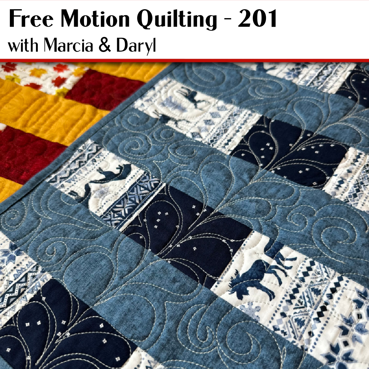 FREE MOTION QUILTING 201  JAN. 22 5:30 -8:00