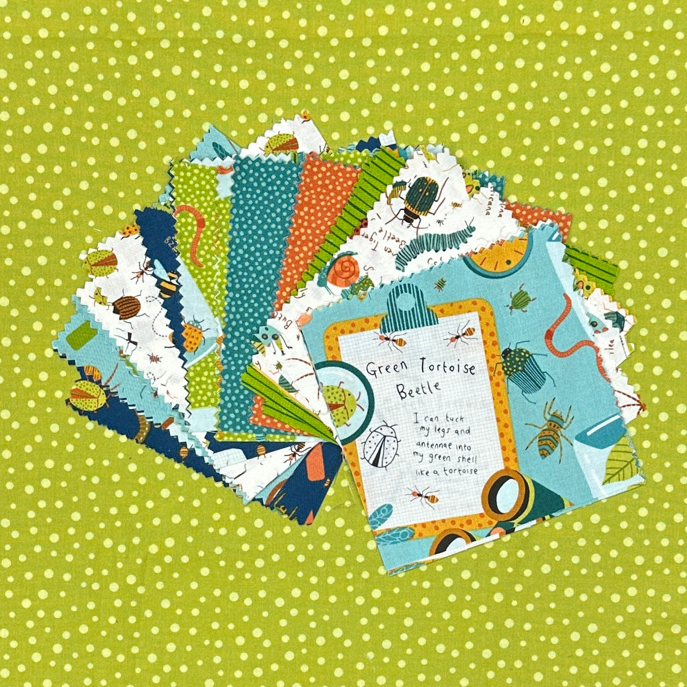BABY ZIP TEASE KIT - GREEN