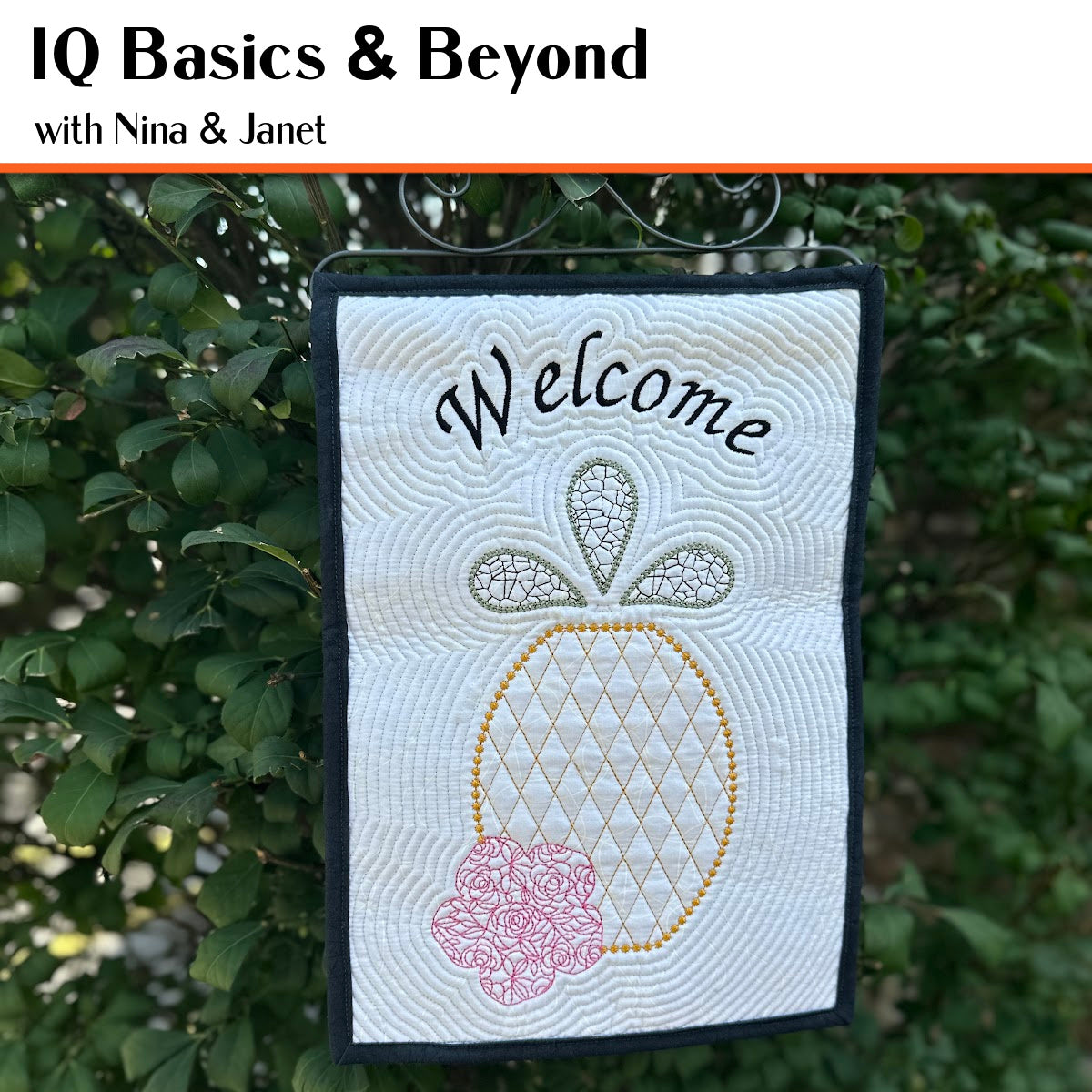 IQ BASICS & BEYOND CLUB NOV '24 - APRIL '25