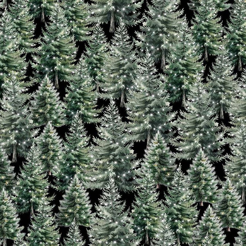 WINTER EVERGREEN WELCOME WINTER