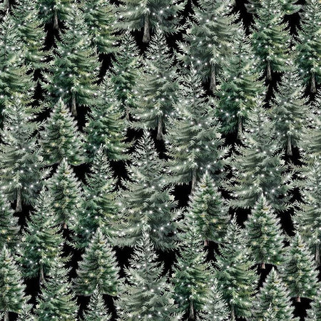 WINTER EVERGREEN WELCOME WINTER