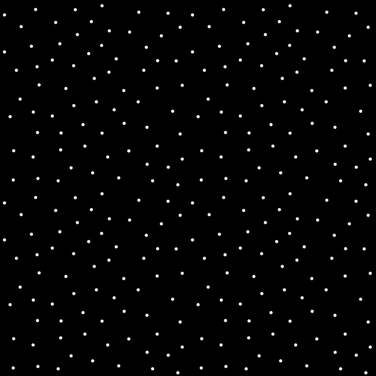 WHITE DOT ON BLACK KIMBERBELL BASICS