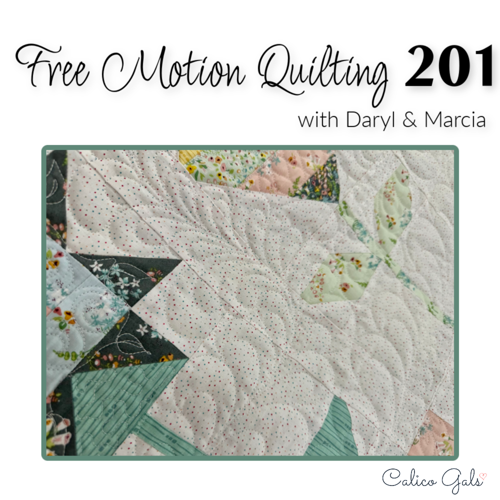 FREE MOTION QUILTING 201  SAT. MARCH 16 10:30 - 1:00