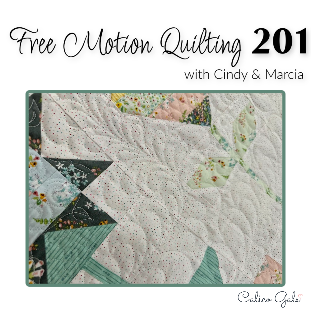 FREE MOTION QUILTING 201  MARCH 26 5:30 -8:00