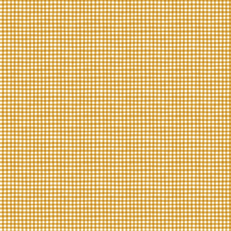 GINGHAM YELLOW HUMBLEBEE