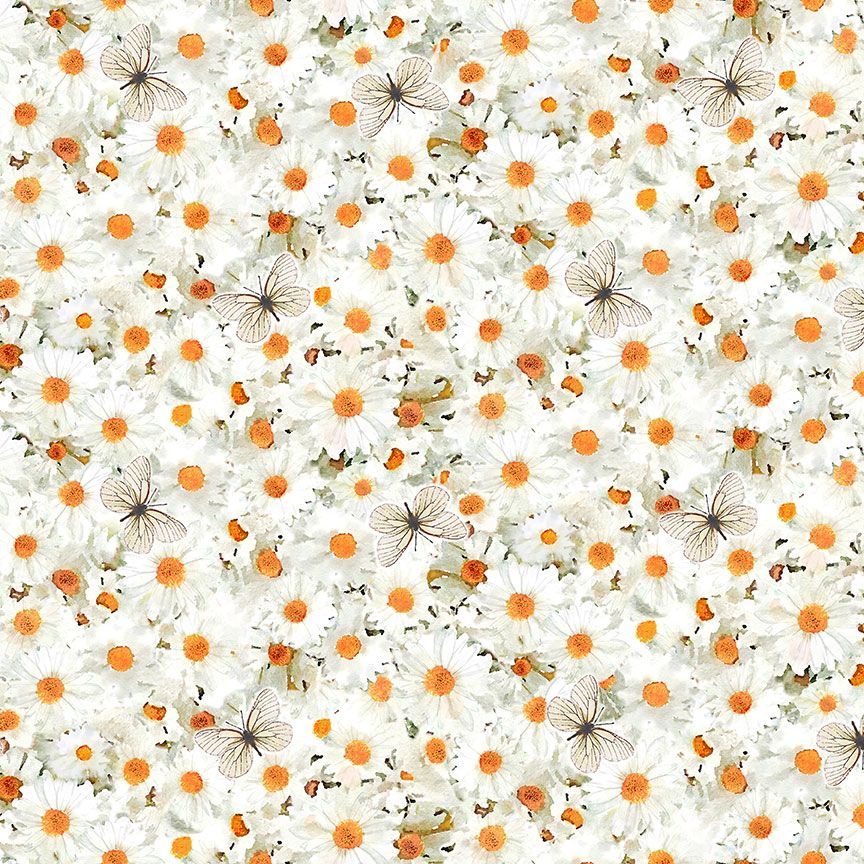WHITE DAISIES ROW BY ROW SUMMERTIME