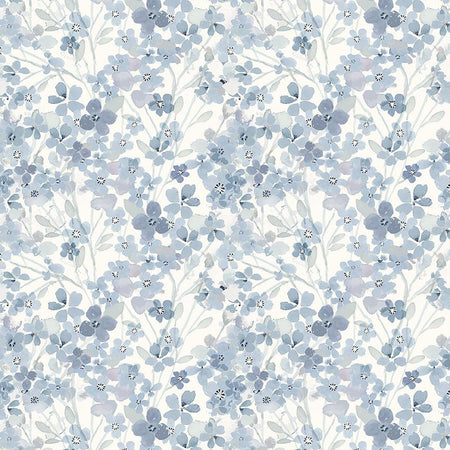 HYDRANGEA PRIMAVERA