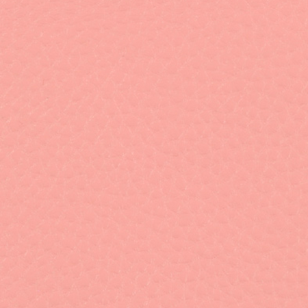 SUN-KISSED PEACH PEBBLED EMBROIDERY LEATHER