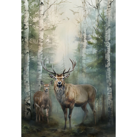 FOREST STAG AND STONE