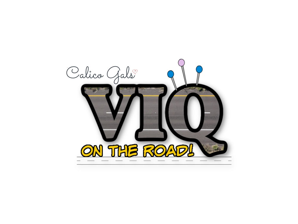 VIQ ON THE ROAD BAG