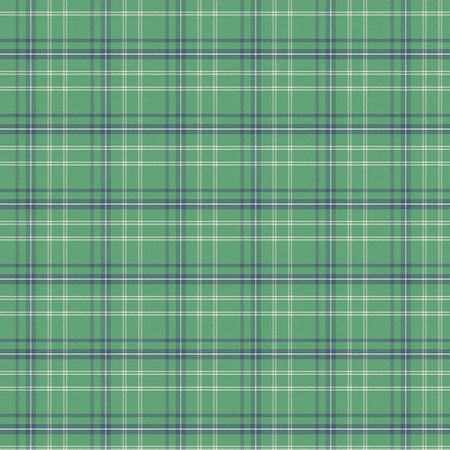 GREEN PLAID HAPPY HAVEN