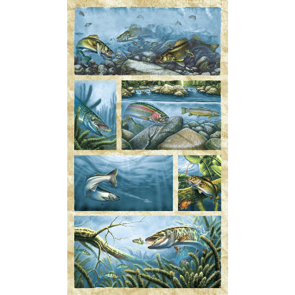 Keep it Reel, Fishing, Fish, Panel, Water