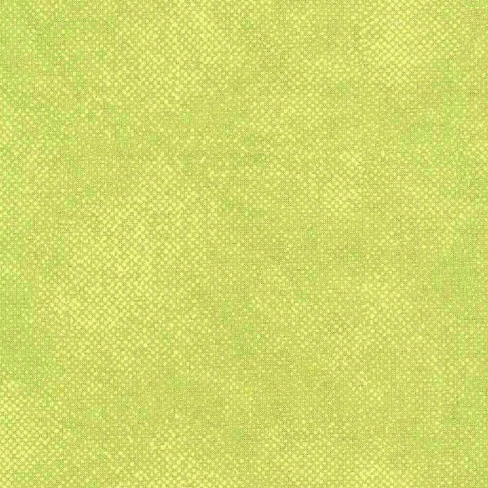 LIME SURFACE SCREEN TEXTURE