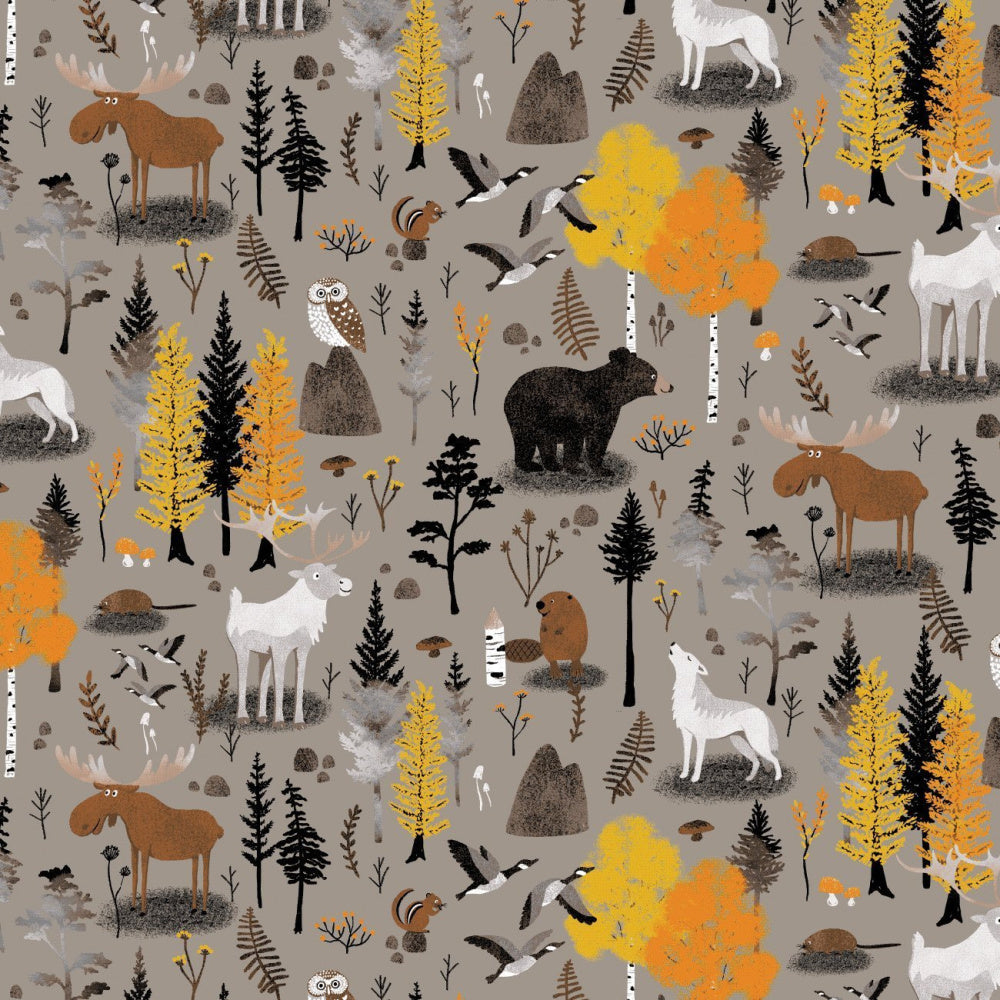 TAUPE CANADIAN BOREAL FOREST